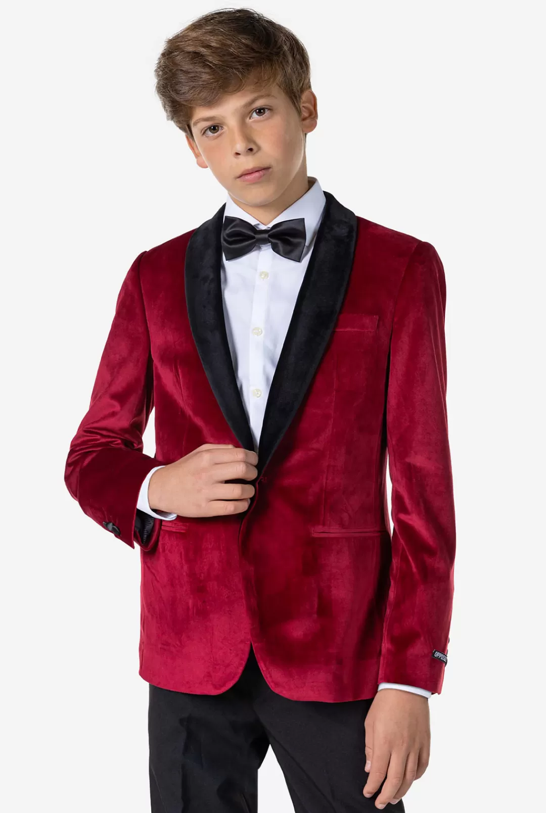 Blazers | OppoSuits Dinner Jacket - Burgundy