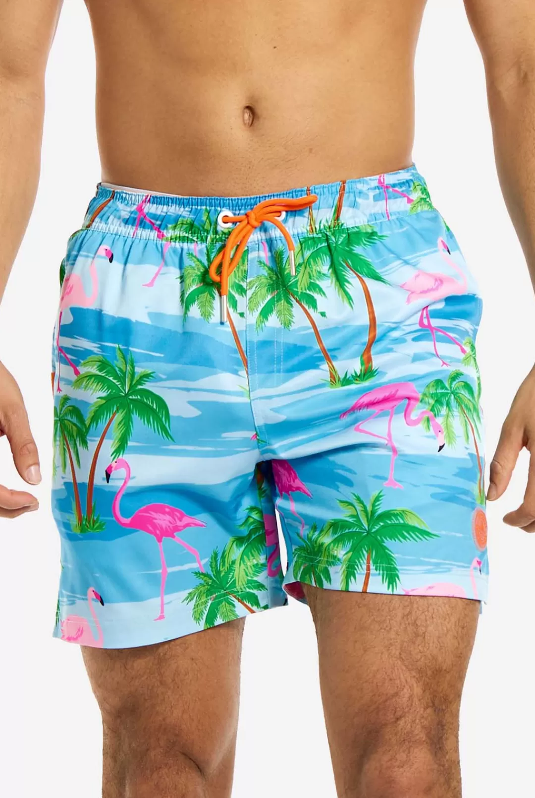 Zwembroeken | OppoSuits Flaminguy