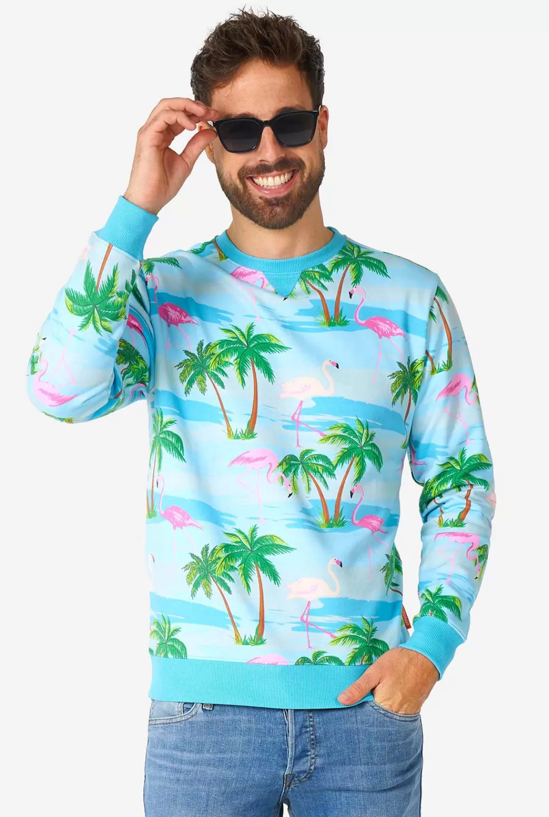 Carnavals Sweaters | OppoSuits Flaminguy