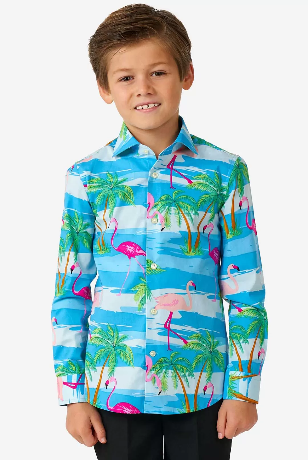Casual Overhemden | OppoSuits Flaminguy