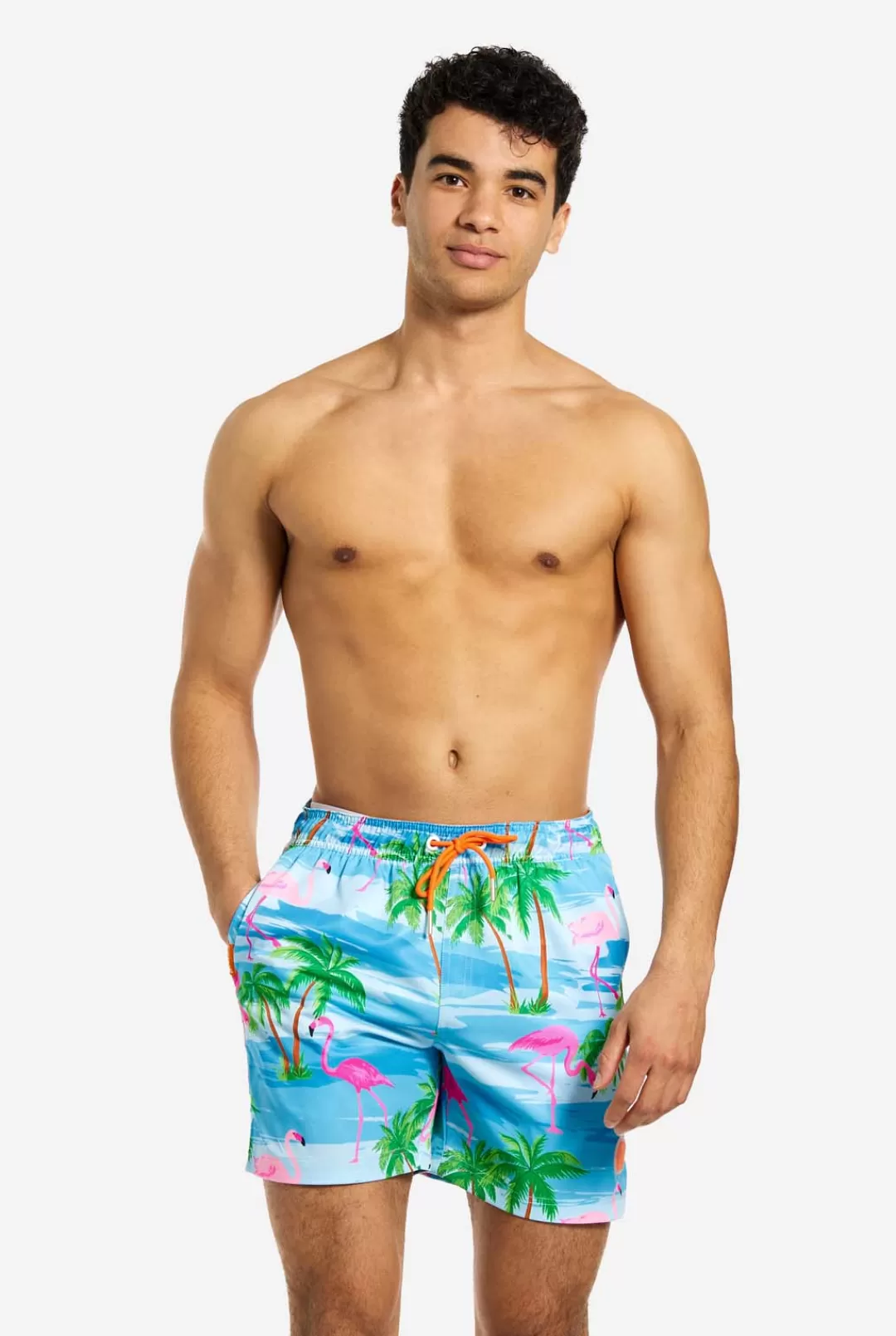 Zwembroeken | OppoSuits Flaminguy