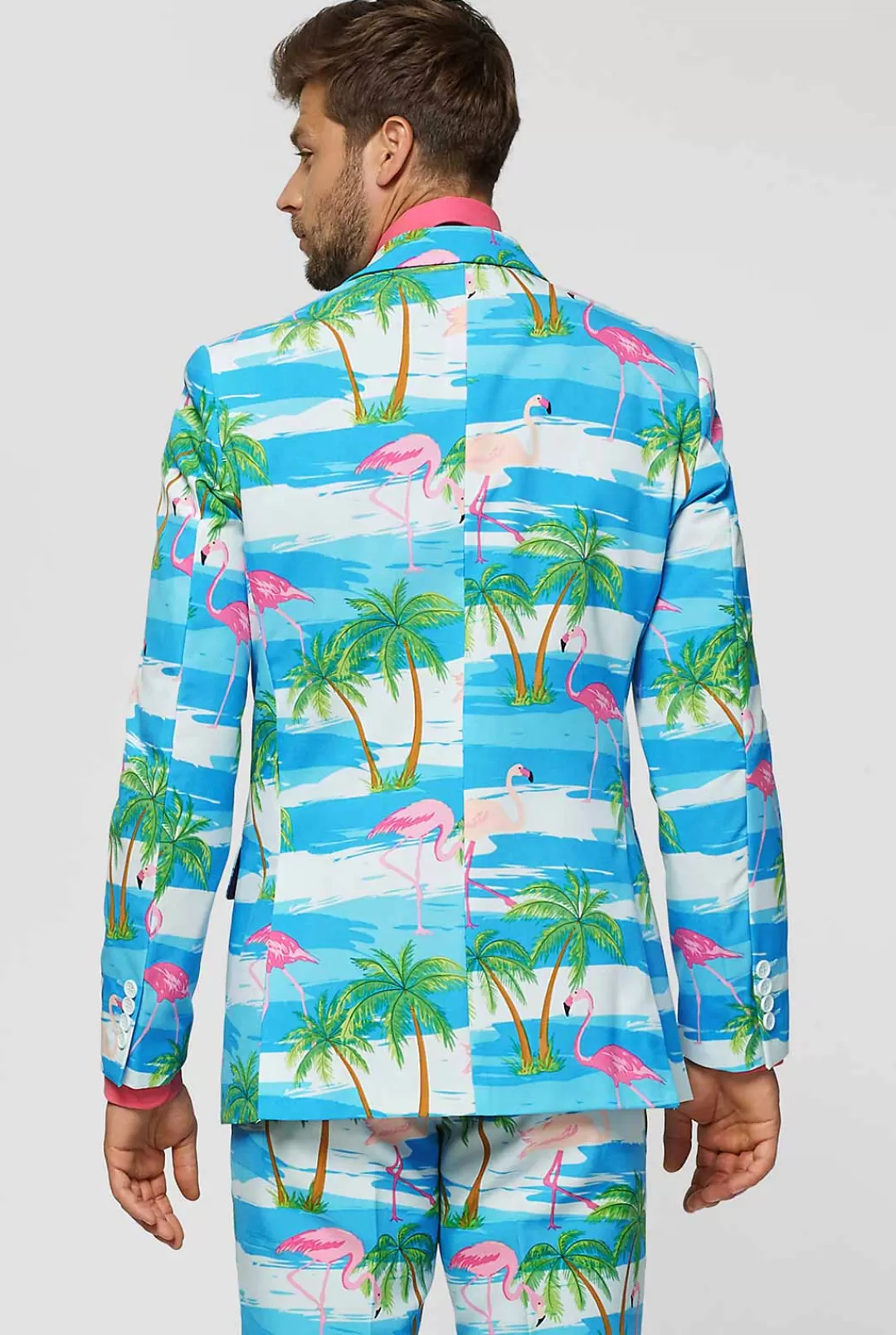 Vrijgezellenfeest Pakken | Carnavalspakken | OppoSuits Flaminguy