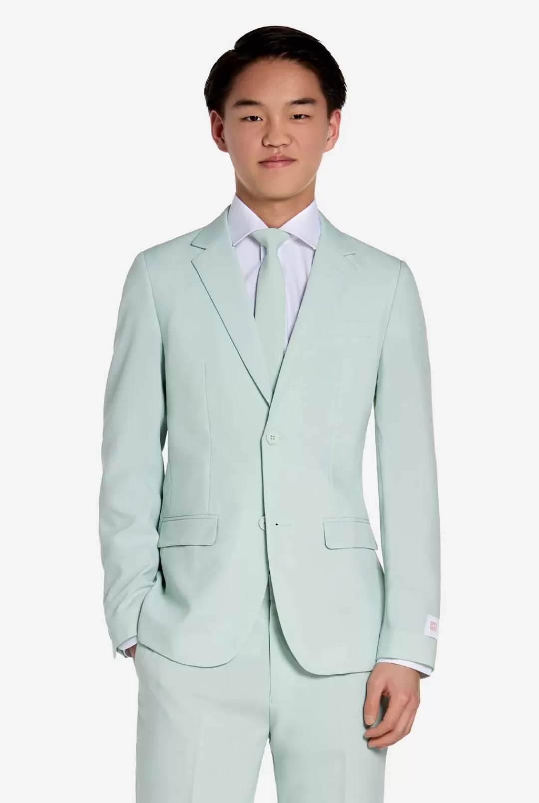 Effen Gekleurde Pakken | OppoSuits Magic Mint